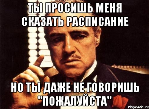 ты просишь меня сказать расписание но ты даже не говоришь "пожалуйста", Мем крестный отец