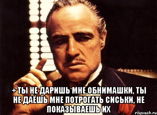  + ты не даришь мне обнимашки, ты не даёшь мне потрогать сиськи, не показываешь их, Мем крестный отец