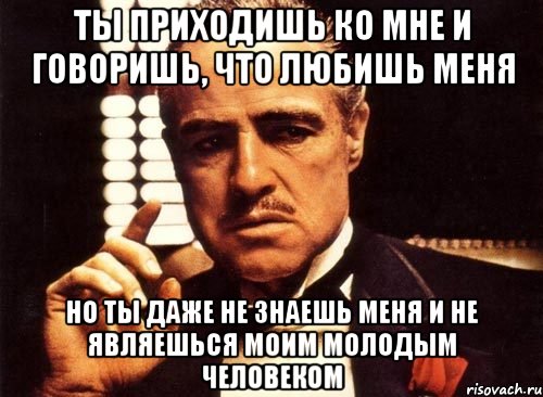 ты приходишь ко мне и говоришь, что любишь меня но ты даже не знаешь меня и не являешься моим молодым человеком, Мем крестный отец