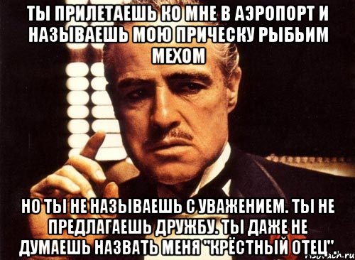 ты прилетаешь ко мне в аэропорт и называешь мою прическу рыбьим мехом но ты не называешь с уважением. ты не предлагаешь дружбу. ты даже не думаешь назвать меня "крёстный отец"., Мем крестный отец