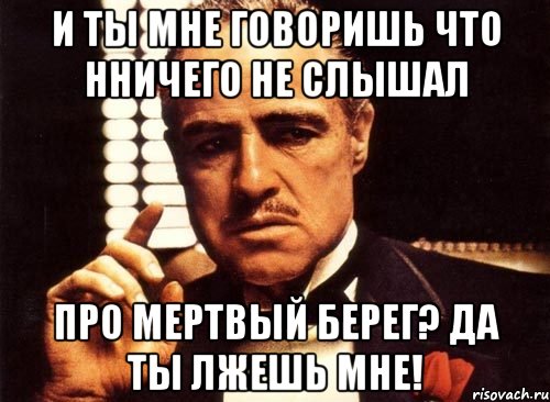 и ты мне говоришь что нничего не слышал про мертвый берег? да ты лжешь мне!, Мем крестный отец