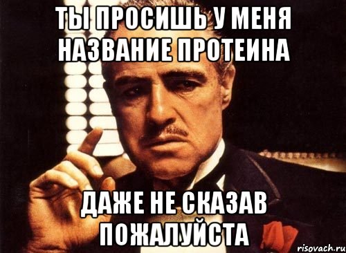 ты просишь у меня название протеина даже не сказав пожалуйста, Мем крестный отец