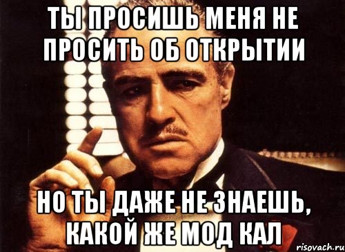 ты просишь меня не просить об открытии но ты даже не знаешь, какой же мод кал, Мем крестный отец