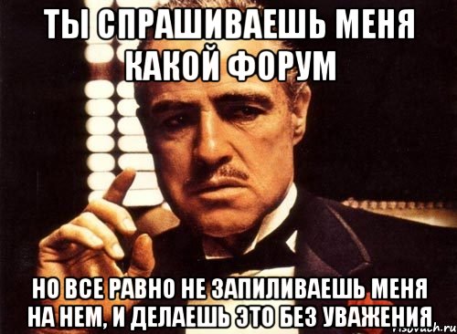 ты спрашиваешь меня какой форум но все равно не запиливаешь меня на нем, и делаешь это без уважения, Мем крестный отец