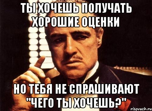 ты хочешь получать хорошие оценки но тебя не спрашивают "чего ты хочешь?", Мем крестный отец