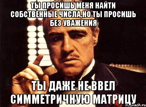 ты просишь меня найти собственные числа,но ты просишь без уважения ты даже не ввел симметричную матрицу, Мем крестный отец