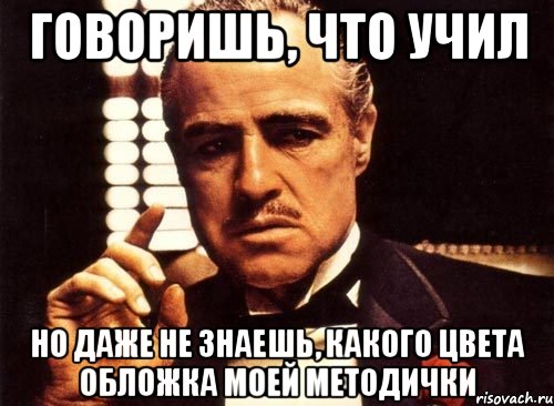 говоришь, что учил но даже не знаешь, какого цвета обложка моей методички, Мем крестный отец