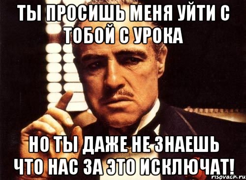 ты просишь меня уйти с тобой с урока но ты даже не знаешь что нас за это исключат!, Мем крестный отец