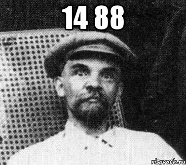 14 88 , Мем   Ленин удивлен