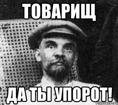 товарищ да ты упорот!, Мем   Ленин удивлен