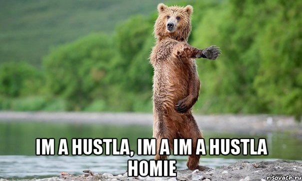  im a hustla, im a im a hustla homie