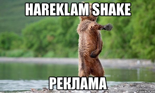 hareklam shake реклама