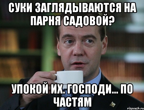 суки заглядываются на парня садовой? упокой их. господи... по частям, Мем Медведев спок бро