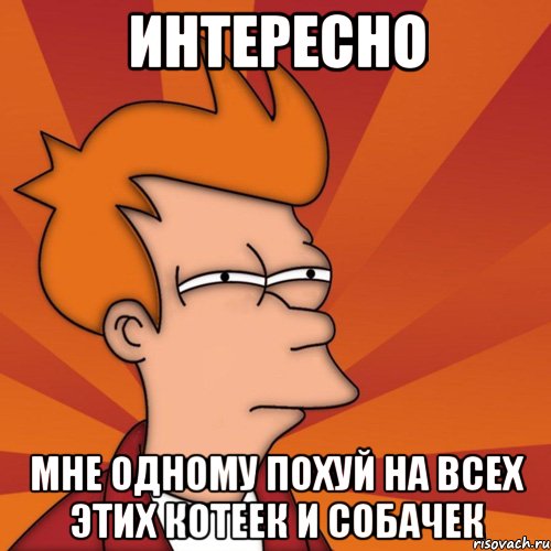 интересно мне одному похуй на всех этих котеек и собачек, Мем Мне кажется или (Фрай Футурама)