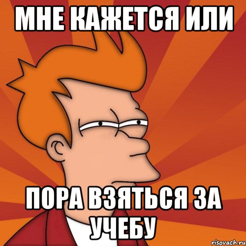 мне кажется или пора взяться за учебу, Мем Мне кажется или (Фрай Футурама)