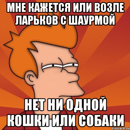 мне кажется или возле ларьков с шаурмой нет ни одной кошки или собаки, Мем Мне кажется или (Фрай Футурама)