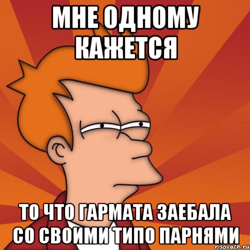 мне одному кажется то что гармата заебала со своими типо парнями, Мем Мне кажется или (Фрай Футурама)