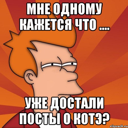 мне одному кажется что .... уже достали посты о котэ?, Мем Мне кажется или (Фрай Футурама)