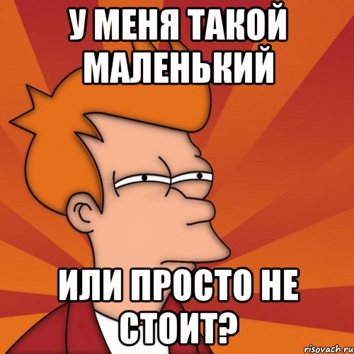 у меня такой маленький или просто не стоит?, Мем Мне кажется или (Фрай Футурама)