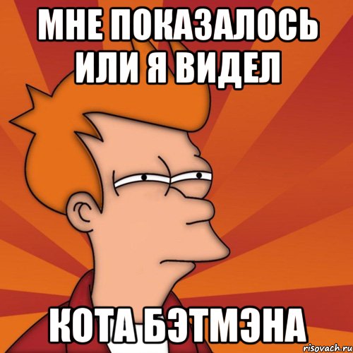 мне показалось или я видел кота бэтмэна, Мем Мне кажется или (Фрай Футурама)