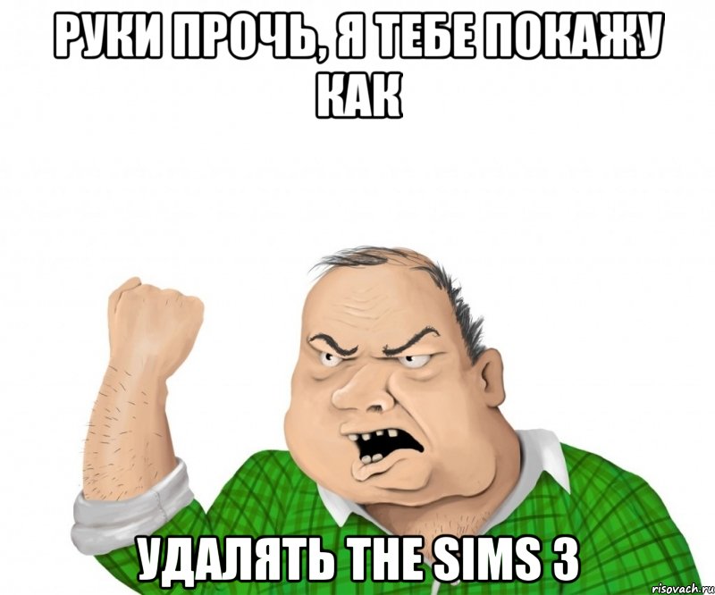 руки прочь, я тебе покажу как удалять the sims 3, Мем мужик