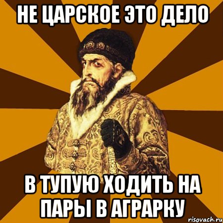 не царское это дело в тупую ходить на пары в аграрку, Мем Не царское это дело