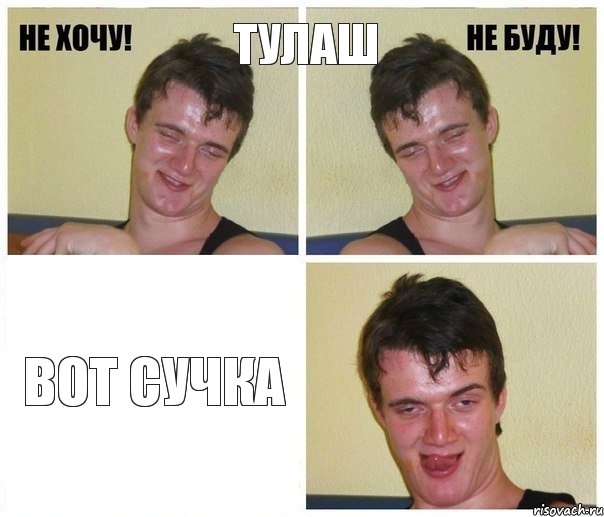 Тулаш ВОТ СУЧКА