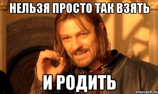 нельзя просто так взять и родить, Мем Нельзя просто так взять и (Боромир мем)