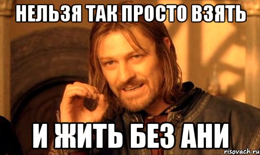 нельзя так просто взять и жить без ани, Мем Нельзя просто так взять и (Боромир мем)