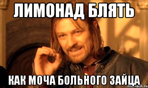 лимонад блять как моча больного зайца, Мем Нельзя просто так взять и (Боромир мем)