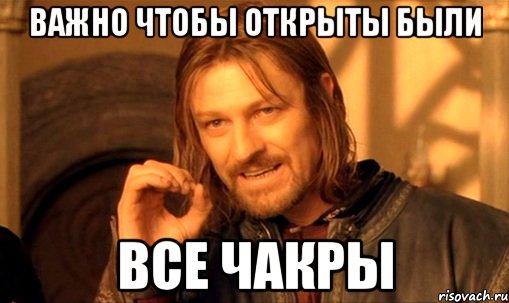 важно чтобы открыты были все чакры, Мем Нельзя просто так взять и (Боромир мем)