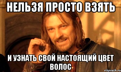 нельзя просто взять и узнать свой настоящий цвет волос, Мем Нельзя просто так взять и (Боромир мем)