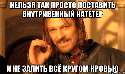 нельзя так просто поставить внутривенный катетер и не залить всё кругом кровью, Мем Нельзя просто так взять и (Боромир мем)