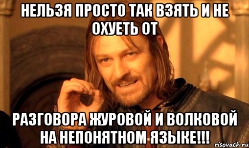 нельзя просто так взять и не охуеть от разговора журовой и волковой на непонятном языке!!!, Мем Нельзя просто так взять и (Боромир мем)