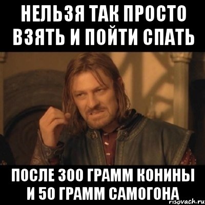 нельзя так просто взять и пойти спать после 300 грамм конины и 50 грамм самогона, Мем Нельзя просто взять