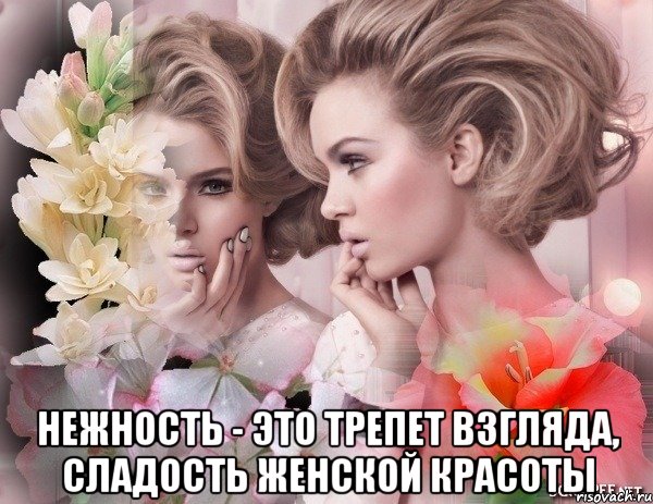  нежность - это трепет взгляда, сладость женской красоты, Мем НЕЖНОСТЬ