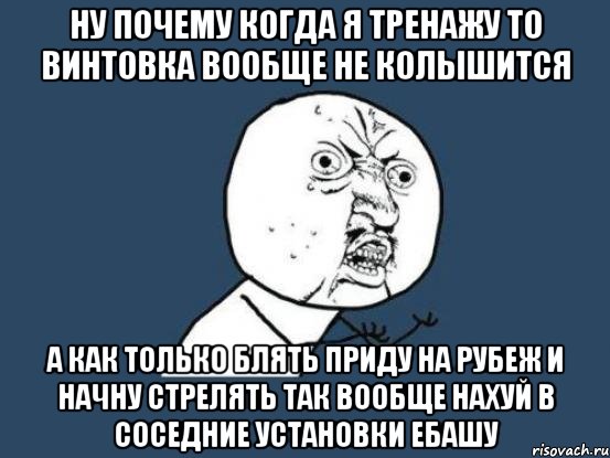 ну почему когда я тренажу то винтовка вообще не колышится а как только блять приду на рубеж и начну стрелять так вообще нахуй в соседние установки ебашу, Мем Ну почему