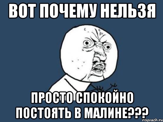 вот почему нельзя просто спокойно постоять в малине???, Мем Ну почему