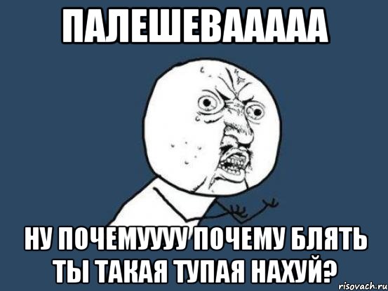 палешевааааа ну почемуууу почему блять ты такая тупая нахуй?, Мем Ну почему