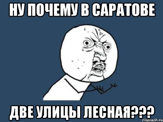 ну почему в саратове две улицы лесная???, Мем Ну почему