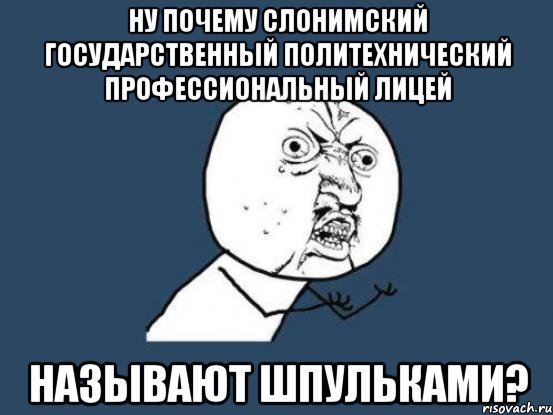 ну почему слонимский государcтвенный политехнический профессиональный лицей называют шпульками?, Мем Ну почему