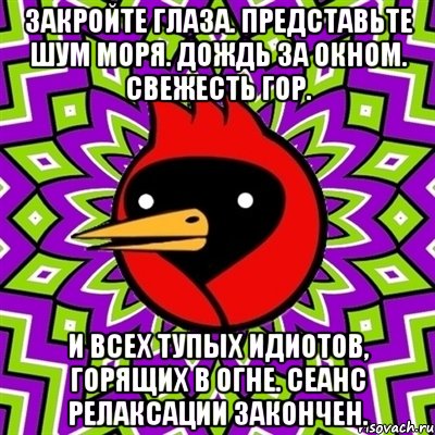 закройте глаза. представьте шум моря. дождь за окном. свежесть гор. и всех тупых идиотов, горящих в огне. сеанс релаксации закончен., Мем Омская птица