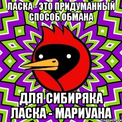 ласка - это придуманный способ обмана для сибиряка ласка - мариуана, Мем Омская птица