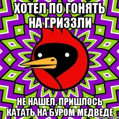 хотел по гонять на гриззли не нашел, пришлось катать на буром медведе, Мем Омская птица