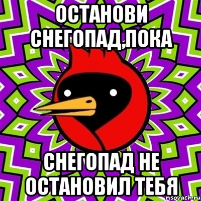 останови снегопад,пока снегопад не остановил тебя, Мем Омская птица