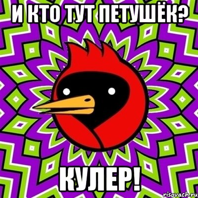 и кто тут петушёк? кулер!, Мем Омская птица