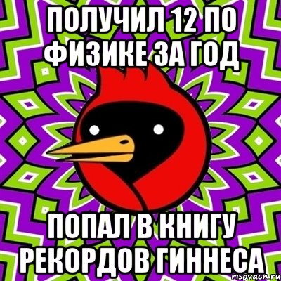 получил 12 по физике за год попал в книгу рекордов гиннеса, Мем Омская птица