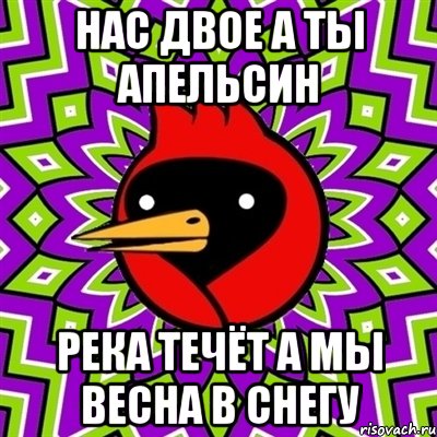 нас двое а ты апельсин река течёт а мы весна в снегу, Мем Омская птица