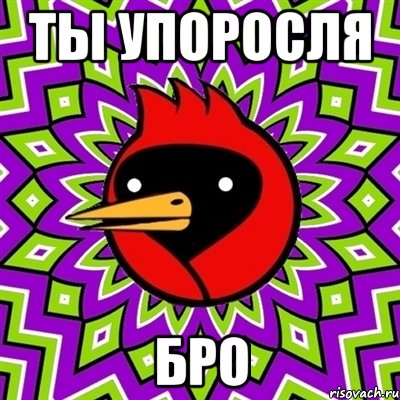 ты упоросля бро, Мем Омская птица