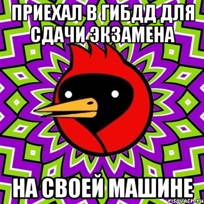 приехал в гибдд для сдачи экзамена на своей машине, Мем Омская птица